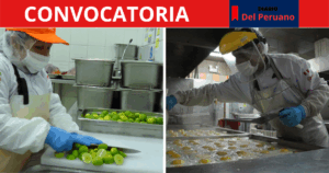 ayudantes de cocina