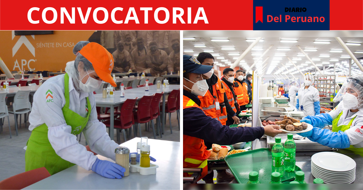 mozos o azafatas para campamento minero