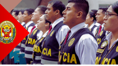 proceso de Asimilación PNP