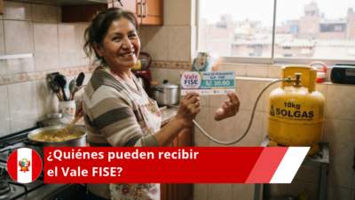 Vale FISE